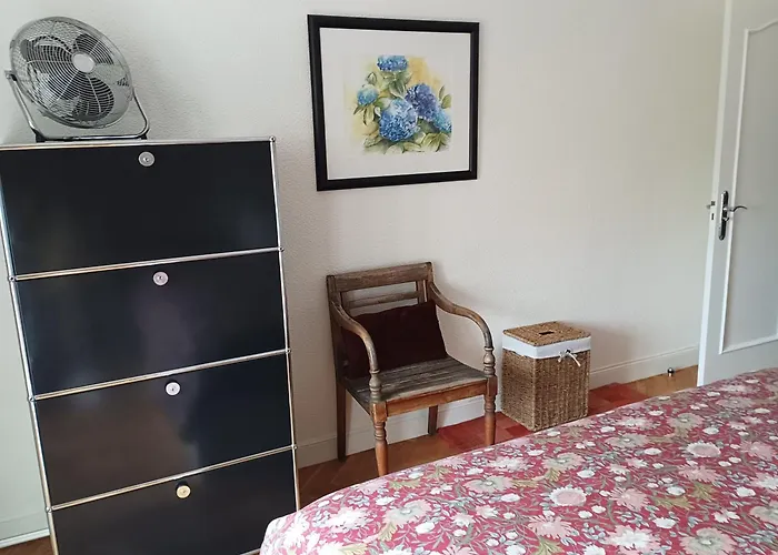 Con Vistas En El Puerto De Donostia San Sebastián